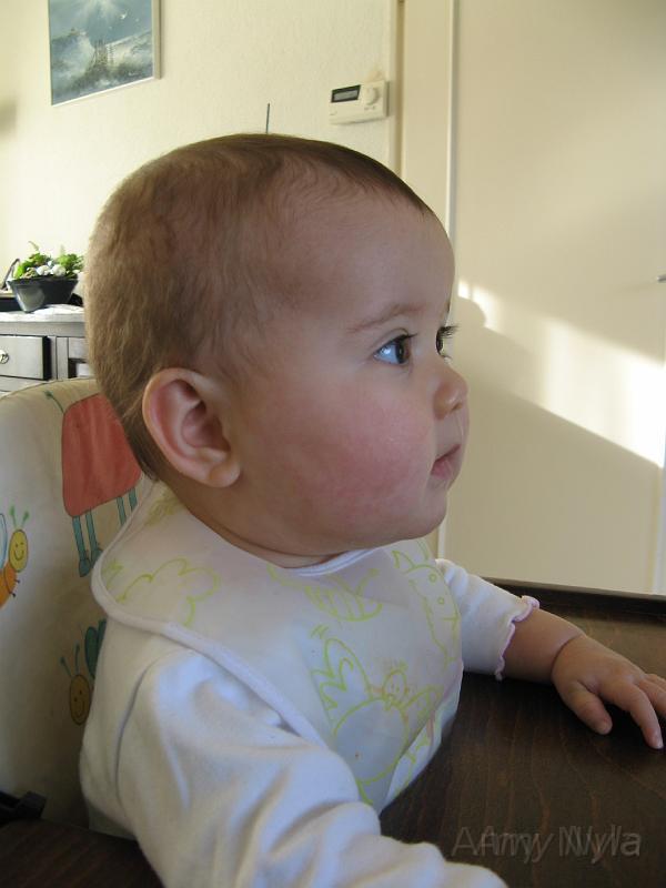 2008_01_26 (6).JPG